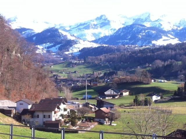 Seebrise Faulensee Esterno foto